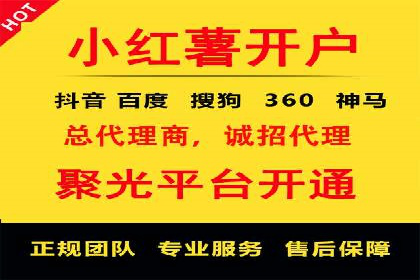 百度推广排名案例报告：某行业巨头如何运用其占领市场高地